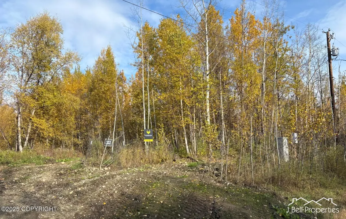 Palmer, AK 99645,6B E Duchess DR