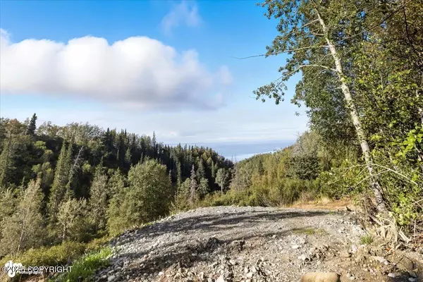 Anchorage, AK 99516,000 Bulgaria DR