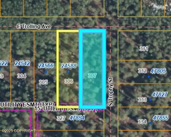 L307 E Trolling AVE, Willow, AK 99688