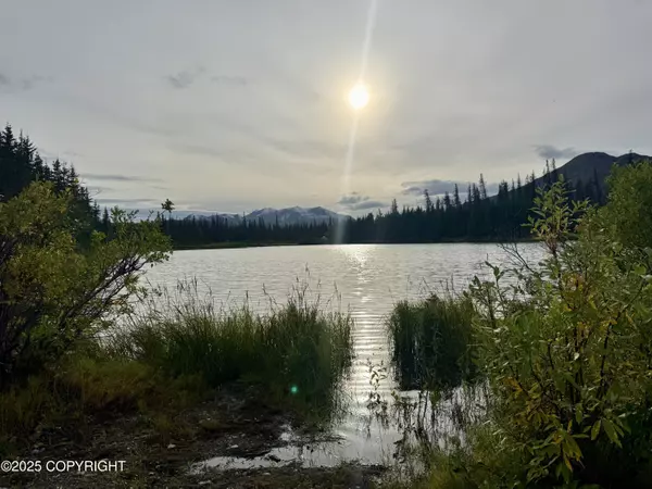 Cantwell, AK 99729,Mi 214.5 Parks HWY