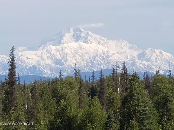 25848 S Oilwell RD, Trapper Creek, AK 99683