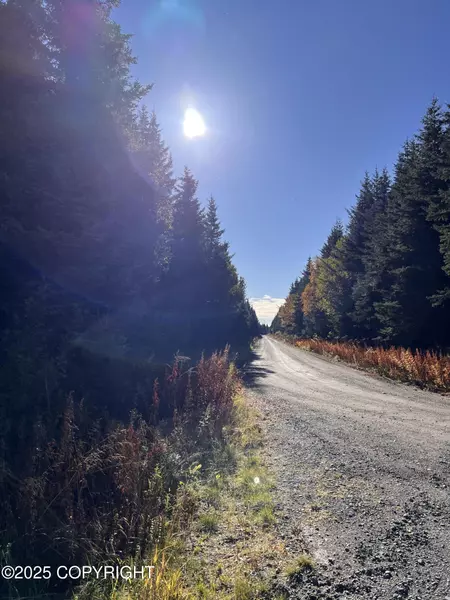 L5 Shegota LOOP, Ninilchik, AK 99639