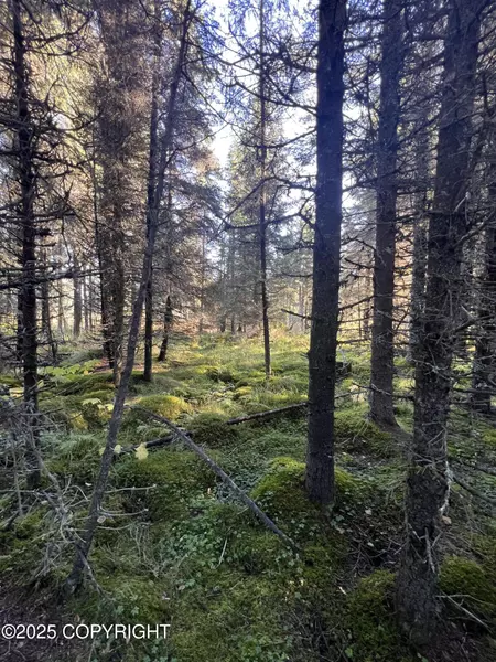 L7 Shegota LOOP, Ninilchik, AK 99639