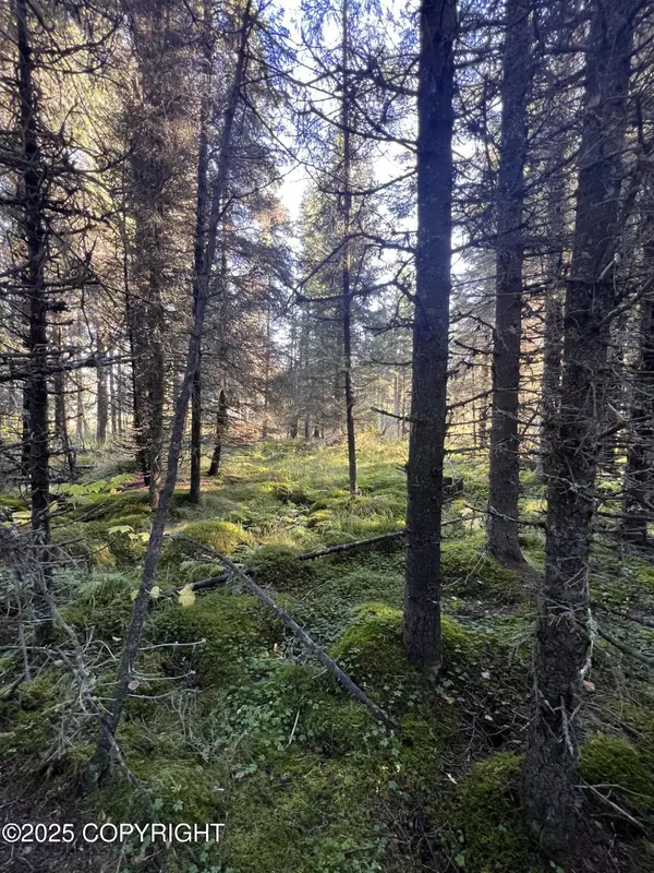 Ninilchik, AK 99639,L7 Shegota LOOP