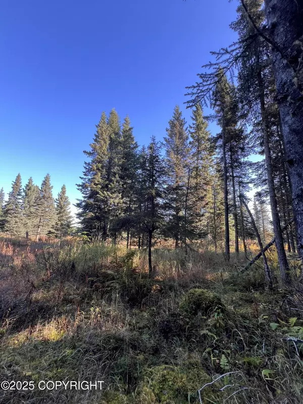 Ninilchik, AK 99639,L7 Shegota LOOP