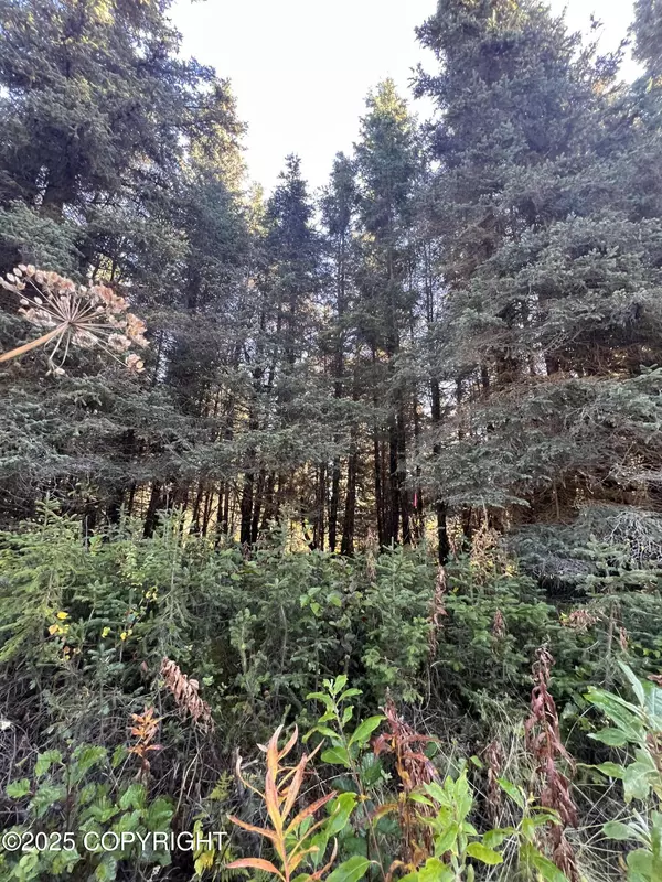 Ninilchik, AK 99639,L8 Shegota LOOP