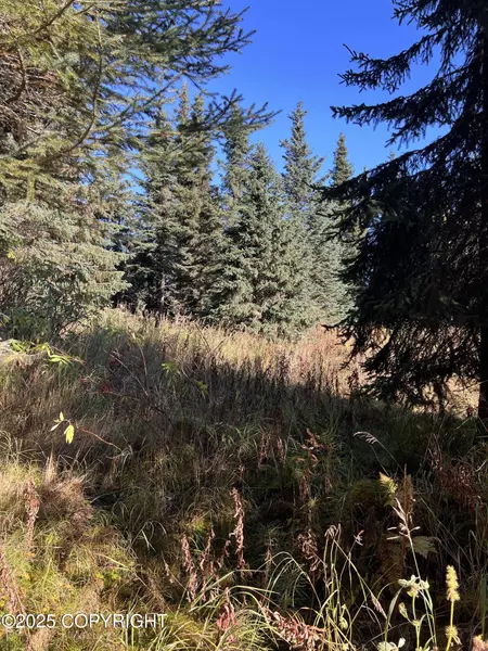 L9 Shegota LOOP, Ninilchik, AK 99639