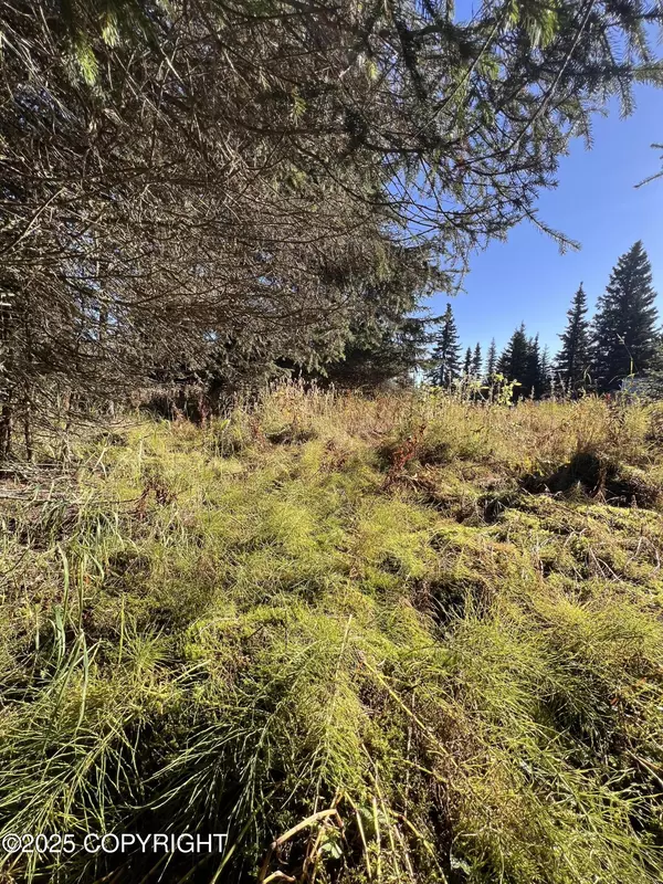 Ninilchik, AK 99639,L9 Shegota LOOP