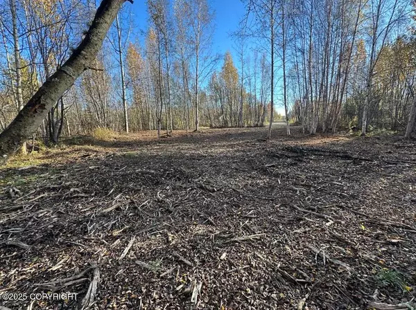 Big Lake, AK 99652,13275 W Maplewood DR