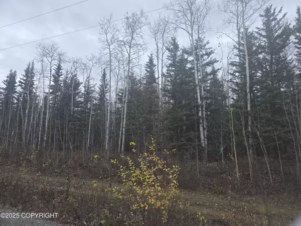 L3 B1 Brenden BLVD, Copper Center, AK 99573