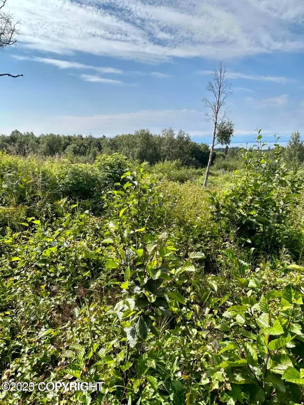 Nikiski/north Kenai, AK 99635,51420 Tordrillo LN