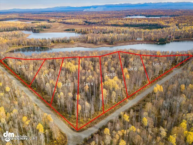 10465 N Little Lonely Lake RD, Willow, AK 99688