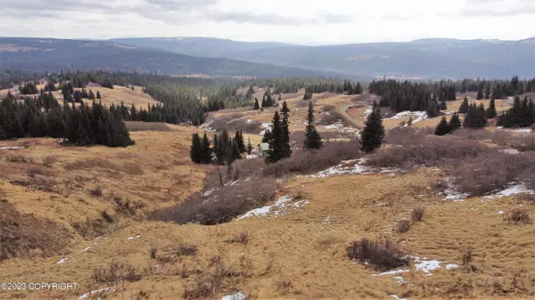 65676 Ring Of Fire AVE,  Anchor Point,  AK 99556