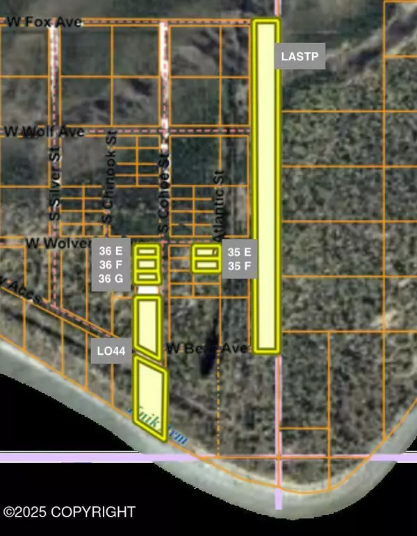 Wasilla, AK 99623,LE B35 Trail on Point MacKenzie