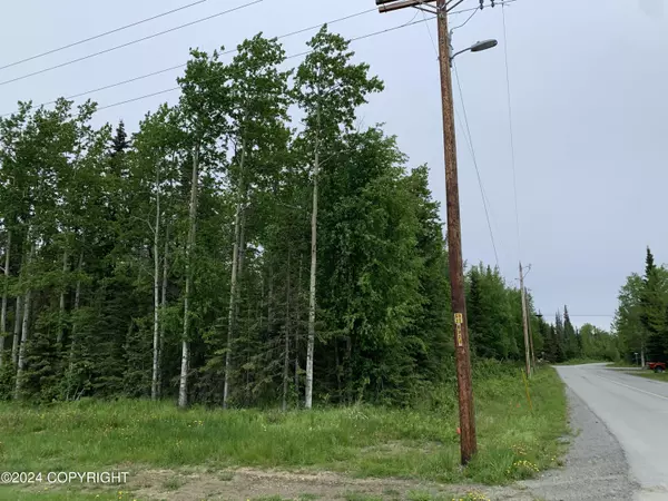 Kenai, AK 99611,Tract 8&9 Even LN