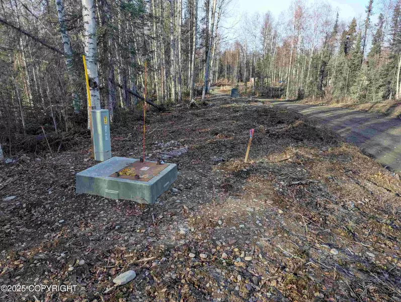 51030 S Caswell Creek DR, Willow, AK 99688