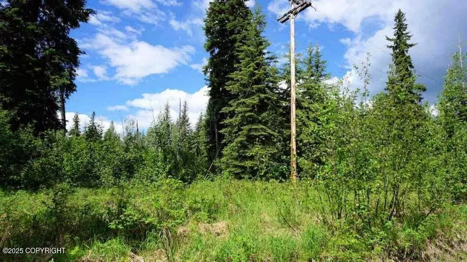 North Pole, AK 99705,1565 King Salmon WAY