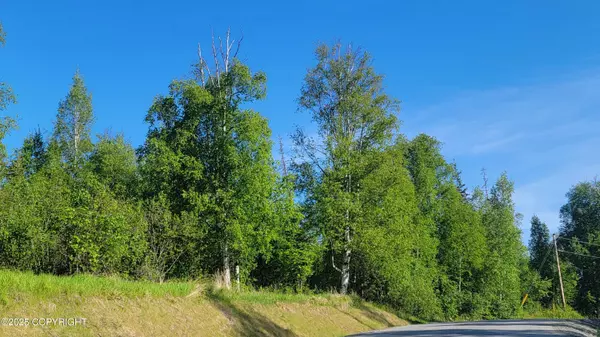 Wasilla, AK 99623,8947 W Cormorant WAY