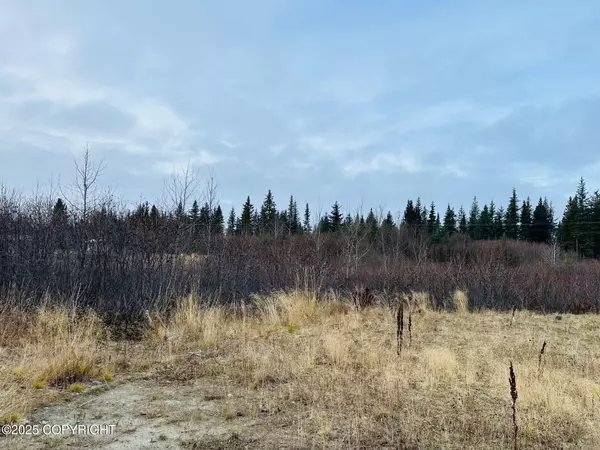 34191 Chapman ST, Anchor Point, AK 99556