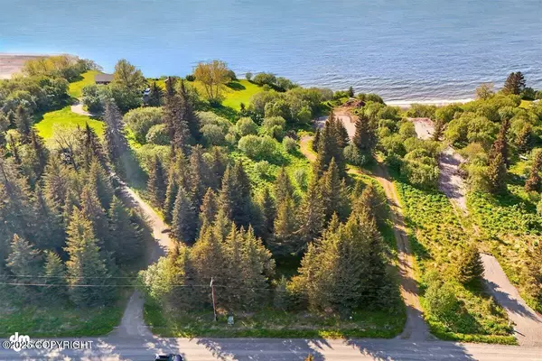 32775 Shorebird LN, Anchor Point, AK 99556
