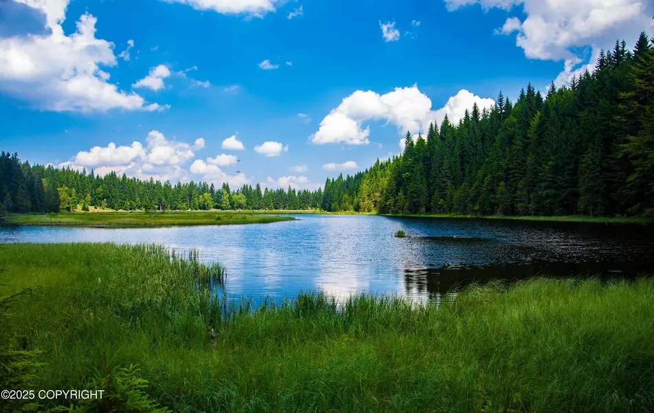 TR I ASLS 85-015, Skwentna, AK 99000