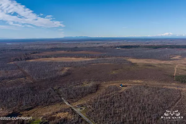 41357 W Krantz RD, Willow, AK 99688