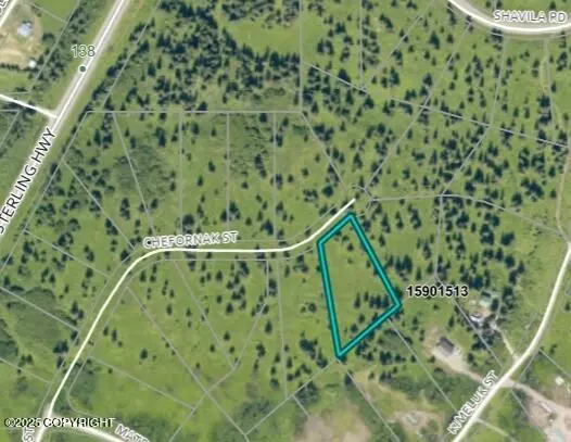 Ninilchik, AK 99639,17466 Chefornak ST