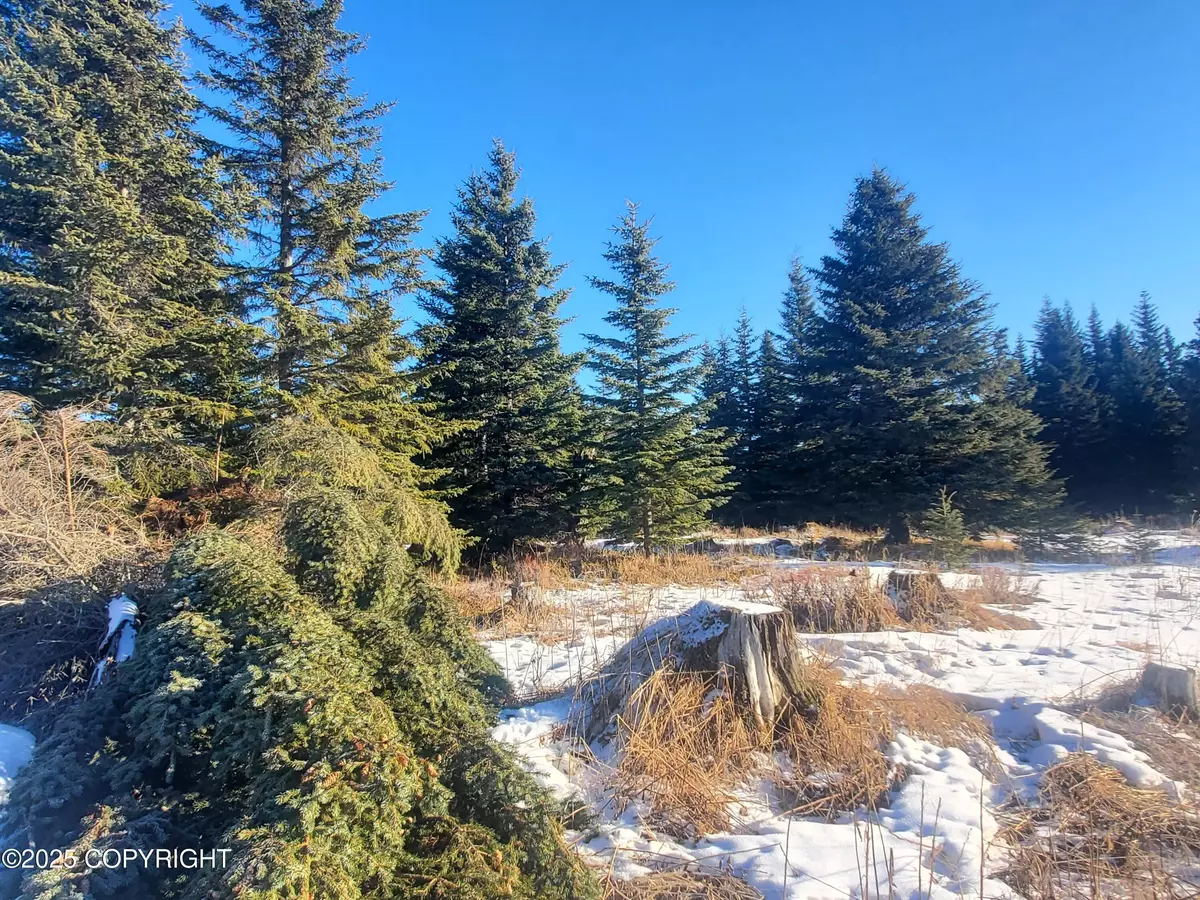 Ninilchik, AK 99639,17466 Chefornak ST