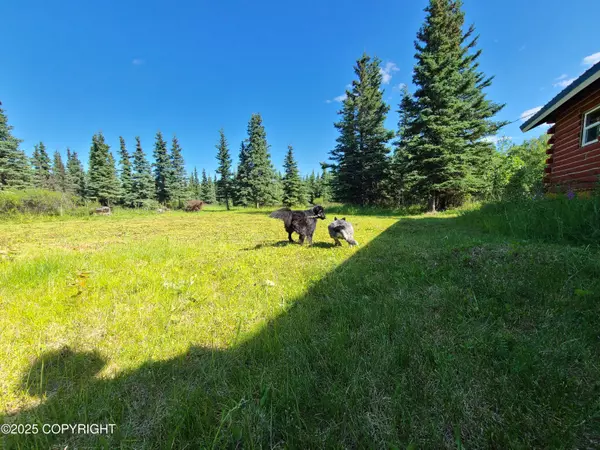 NHN L11 B3 Tri valley Subdivision, Healy, AK 99743