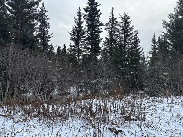 Anchor Point, AK 99556,000 Old Sterling HWY