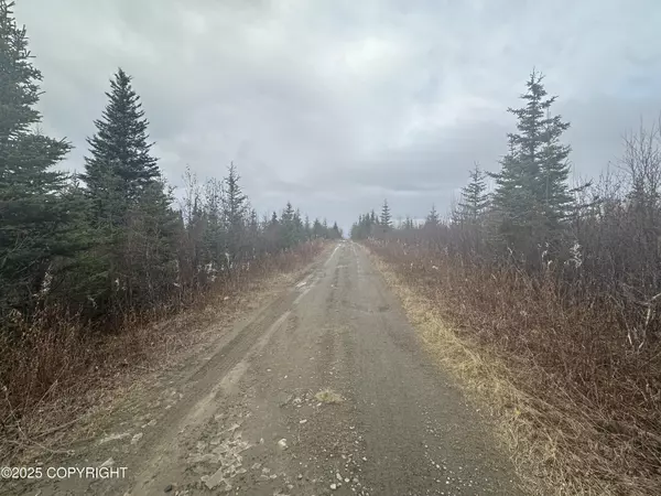 Ninilchik, AK 99639,000 Matson ST
