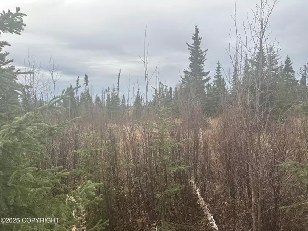 Ninilchik, AK 99639,004 Wells ST