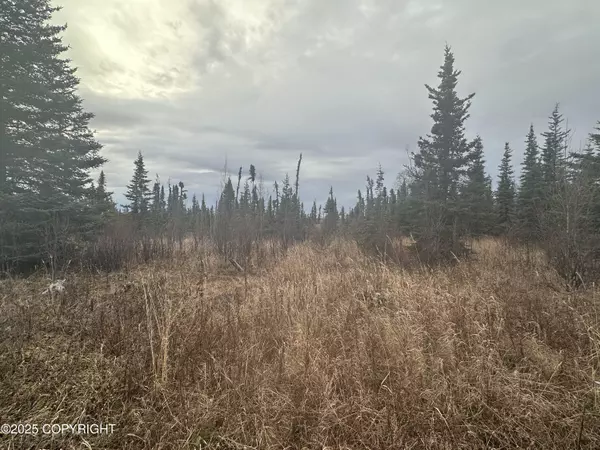 005 Wells ST, Ninilchik, AK 99639