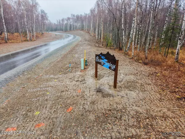 Wasilla, AK 99654,L2 B1 N Sanburg DR