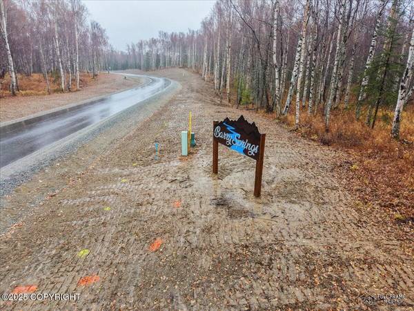 L2 B1 N Sanburg DR, Wasilla, AK 99654