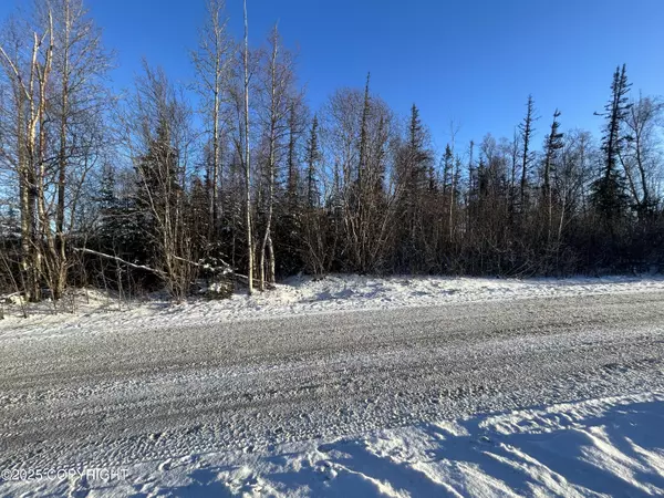 Wasilla, AK 99623,6471 S Viewport WAY