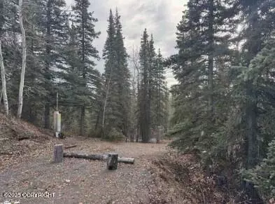 Nelchina, AK 99588,Mi 146 Glenn HWY