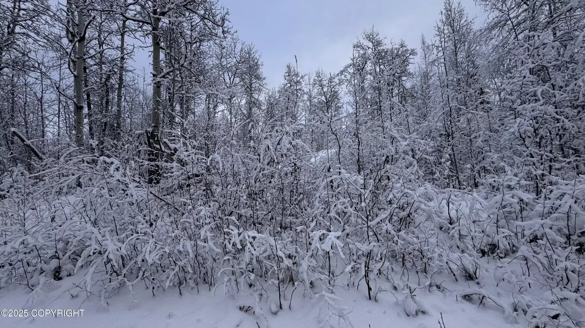 Willow, AK 99688,48609 S Tussle CIR