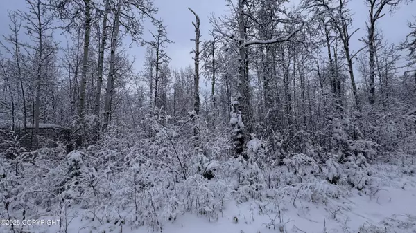 Willow, AK 99688,48609 S Tussle CIR