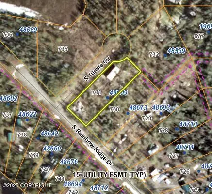 Willow, AK 99688,48609 S Tussle CIR