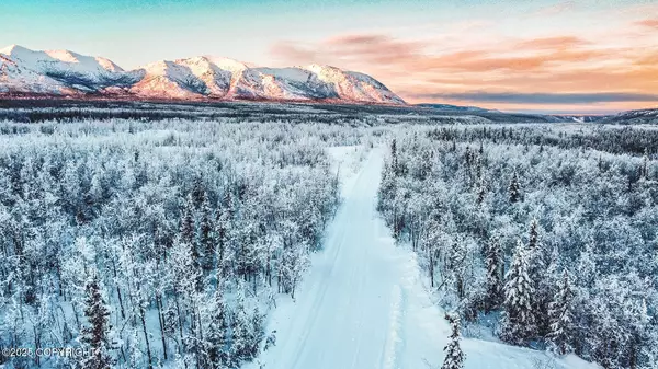 Mile 73.5 Richardson HWY, Chitina, AK 99566