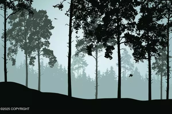 20010 E Twentyinch AVE, Willow, AK 99688