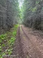 Homer, AK 99603,Tr A1-6 Pomeroy RD