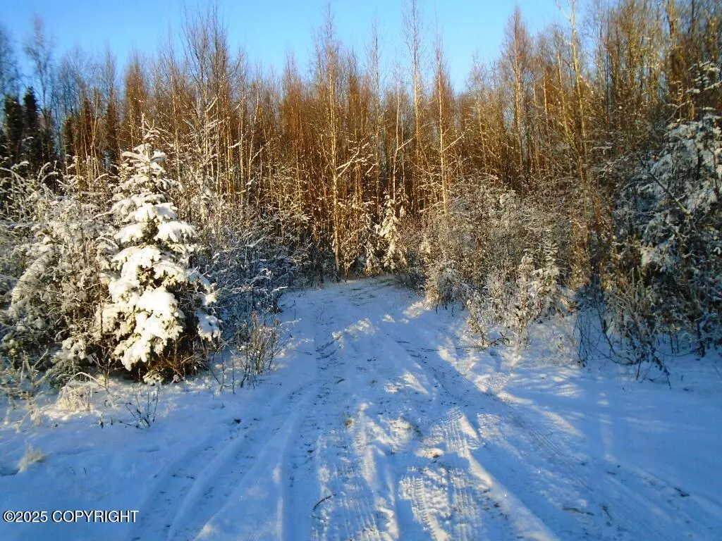 Wasilla, AK 99623,L1 W Shearwater ST