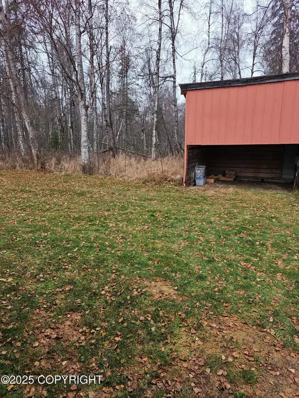 Trapper Creek, AK 99683,9413 E Petersville RD
