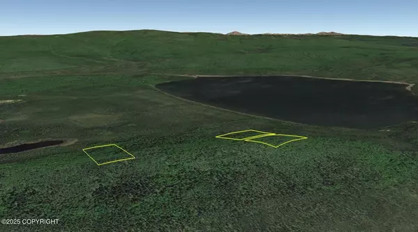 Manley Hot Springs, AK 99756,L6 B8 Deadman Lake (No Road)