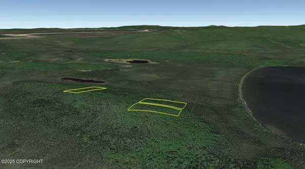 Manley Hot Springs, AK 99756,L6 B8 Deadman Lake (No Road)