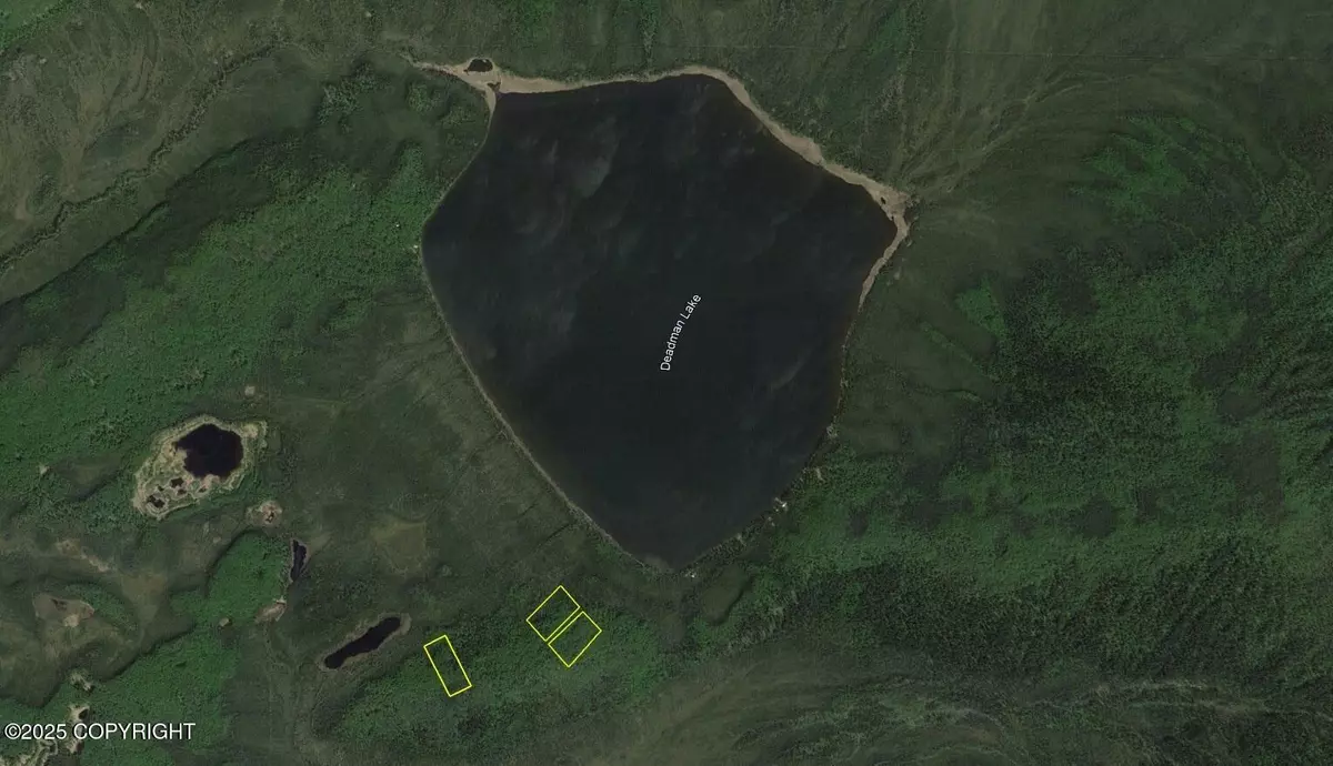 Manley Hot Springs, AK 99756,L6 B8 Deadman Lake (No Road)