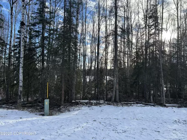 Wasilla, AK 99654,1101 N Brass Ring DR