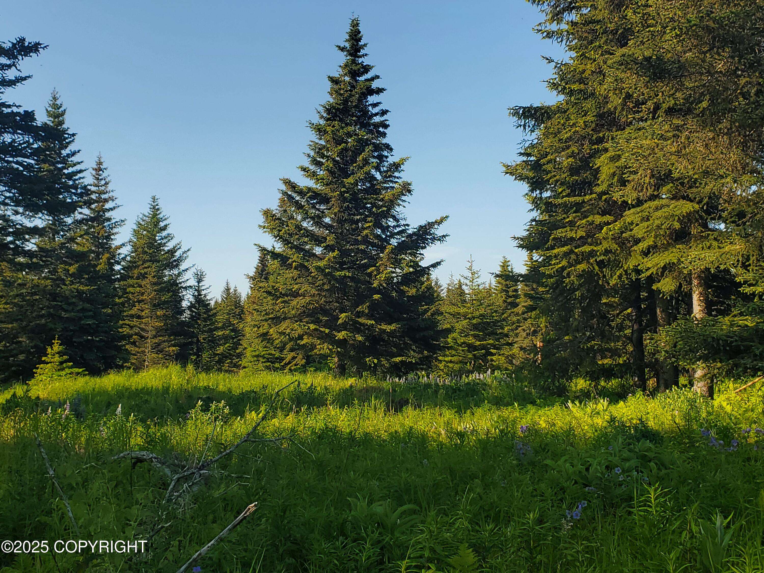 Ninilchik, AK 99639,17435 Chefornak ST